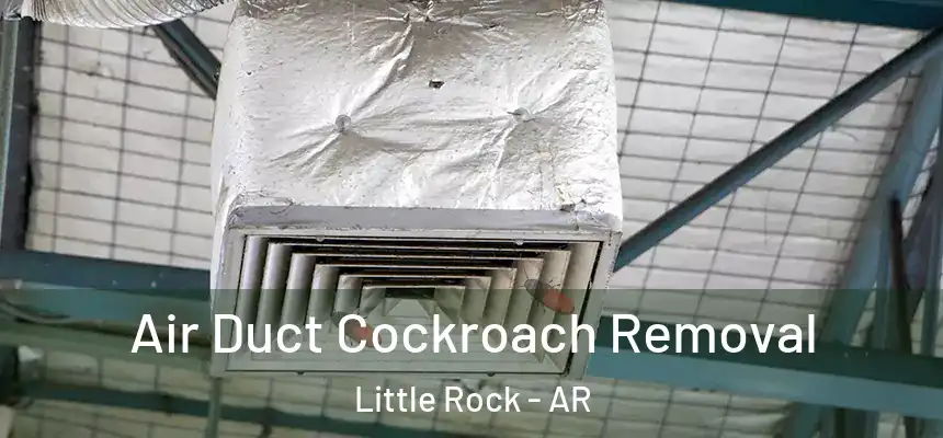 Air Duct Cockroach Removal Little Rock - AR