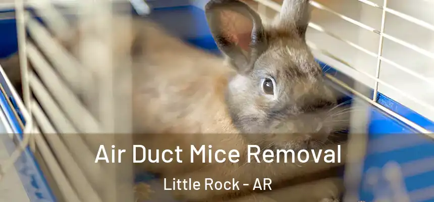 Air Duct Mice Removal Little Rock - AR