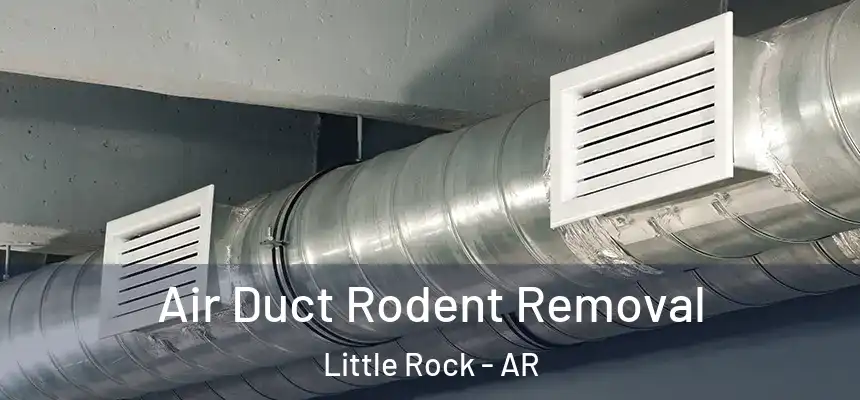 Air Duct Rodent Removal Little Rock - AR
