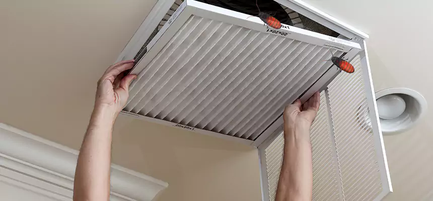 Preventive Cockroach-Proofing for Ducts in Little Rock