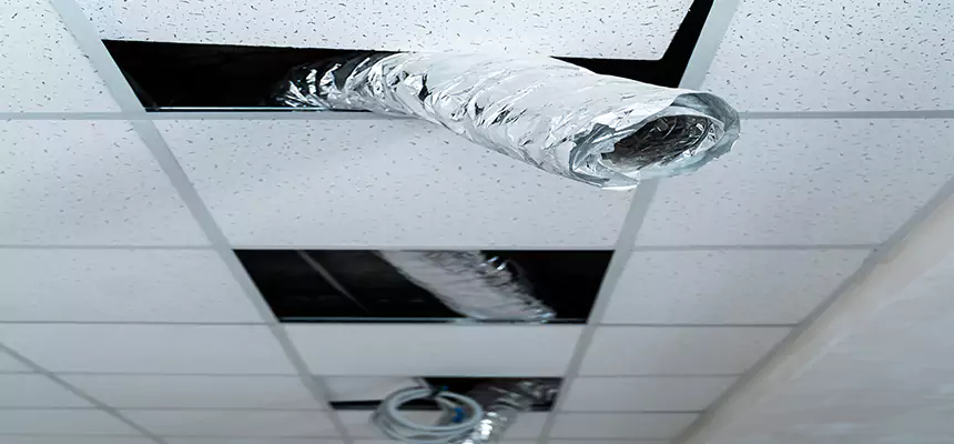 Our Air Duct Pet Hair Removal Services in Little Rock, AR