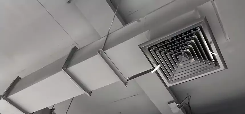 Our Rodent Droppings In Vents Services in Little Rock, AR