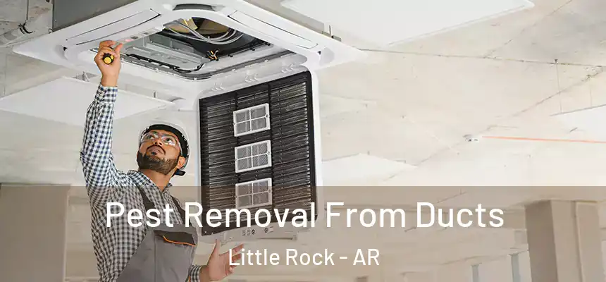 Pest Removal From Ducts Little Rock - AR