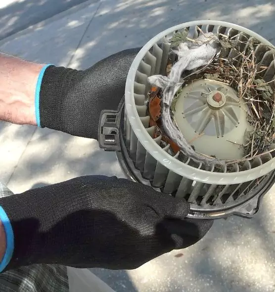 About Air Duct Mice Removal in Little Rock, AR