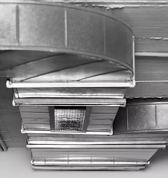 Professional Air Duct Pest Removal in Little Rock, AR