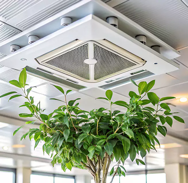 Why Homeowners & Businesses Trust Us in Little Rock, AR?